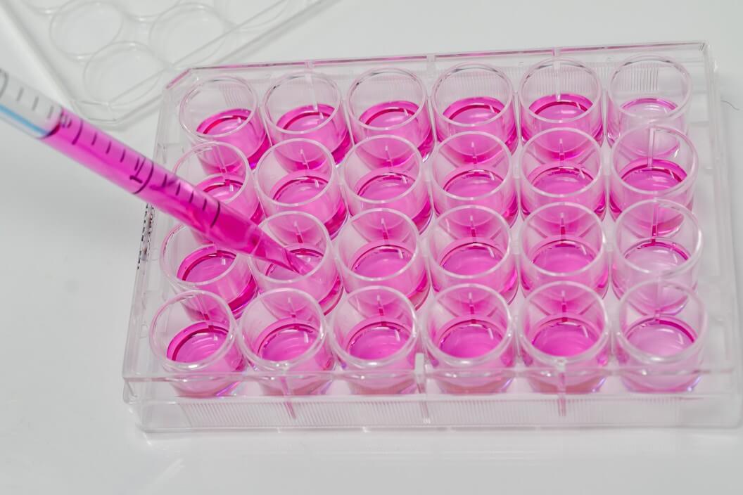 adding-cell-culture-media-in-a-cell-culture-plate-with-pipette_t20_4l7Ey2 (1)